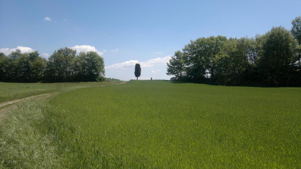 Appartamento Miralago Bolsena Kültér fotó