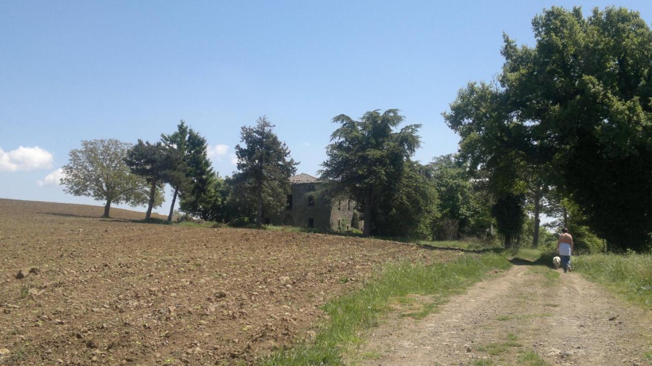 Appartamento Miralago Bolsena Kültér fotó